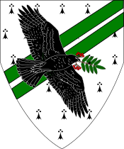 Arms Image